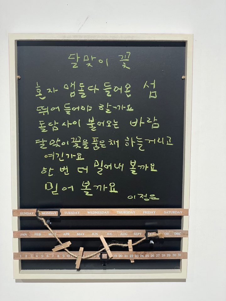 달맞이 꽃 - 이정은